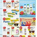 Antevisão Folheto PINGO DOCE Madeira Promoções de 26 janeiro a 1  fevereiro p10.jpg